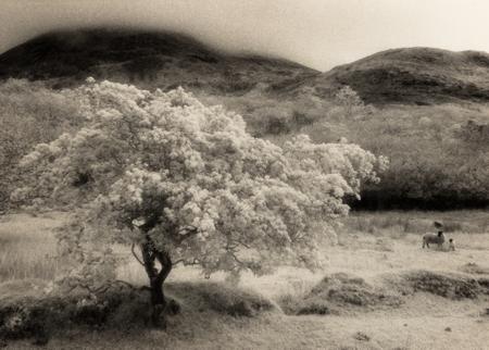 [Infrared shot taken at Torrin on the Isle of Skye]